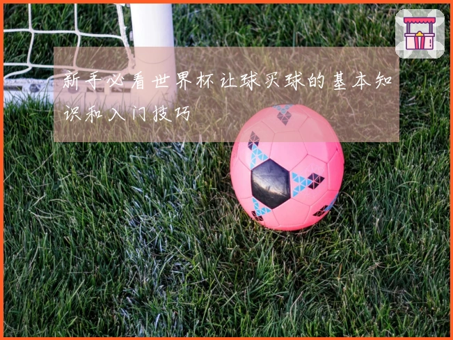 新手必看世界杯让球买球的基本知识和入门技巧