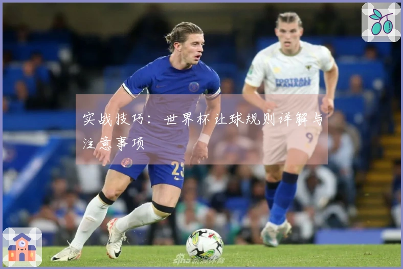 实战技巧：世界杯让球规则详解与注意事项